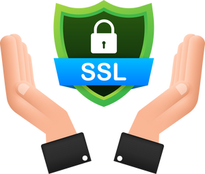 Secure connection icon vector illustration isolated on white